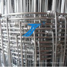 Ts-Hot-Dipped Galvanized Ranch Fence